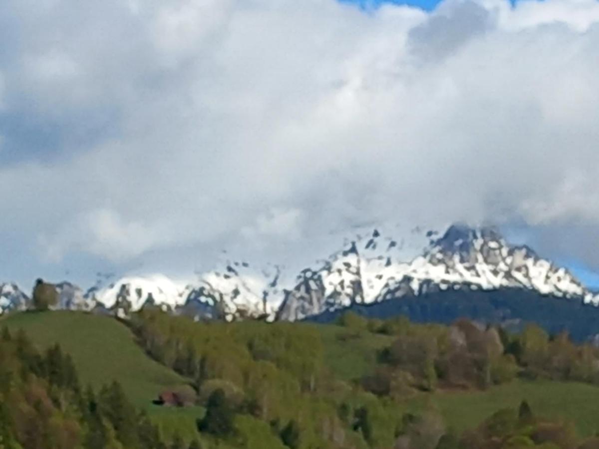 Pensiunea Brian Moieciu de Jos Exteriör bild